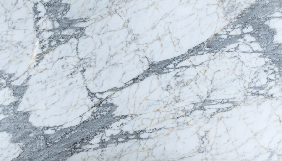 Detailed view of Calacatta marble showing distinctive gray veining against white background