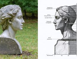 A split-view of a stone sculpture demonstrating its transformation over decades of natural weathering, with the left side showing the original smooth surface and the right side displaying intricate textures and patterns from environmental exposure.